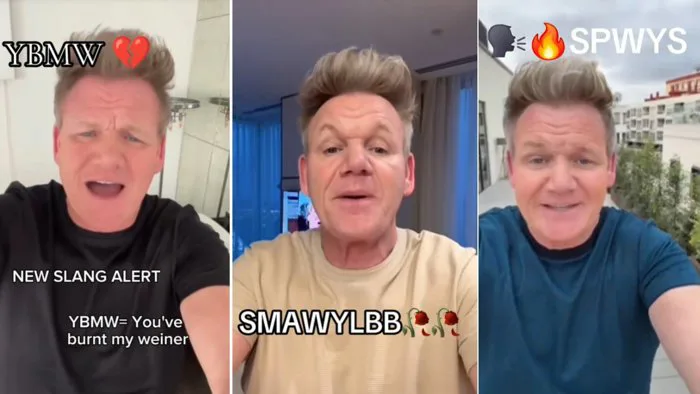 Gordon Ramsay Slang | Know Your Meme