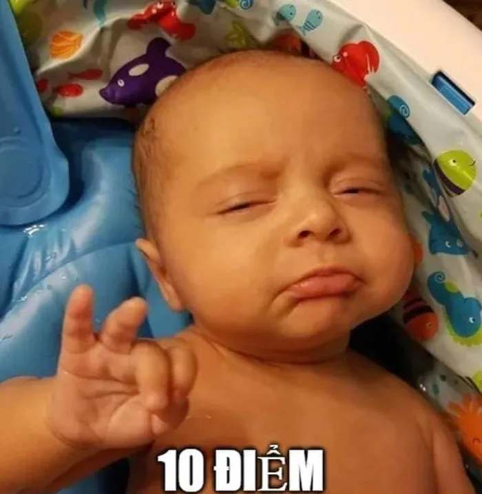 10 điểm meme hài hước được yêu thích nhất hiện nay