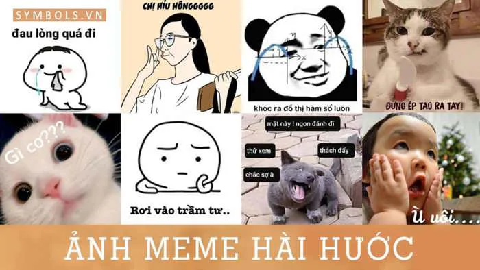 Ảnh Meme Hài Hước [111+ Hình Meme Hài Cute Nhất]