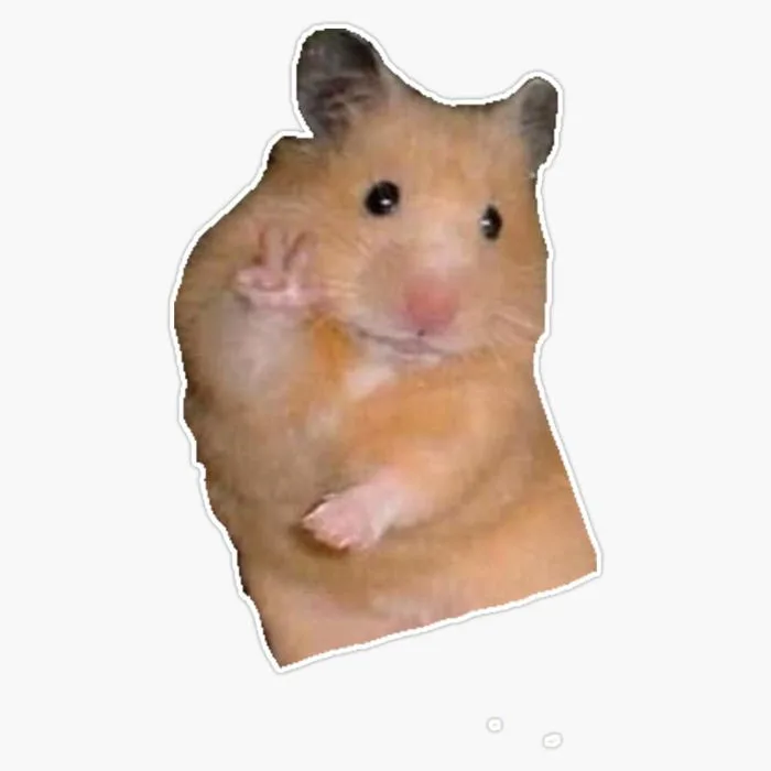 Hamster Meme Sticker Vinyl Bumper Sticker 6 Mil Thick - Size 5