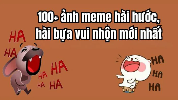 meme-hay-1