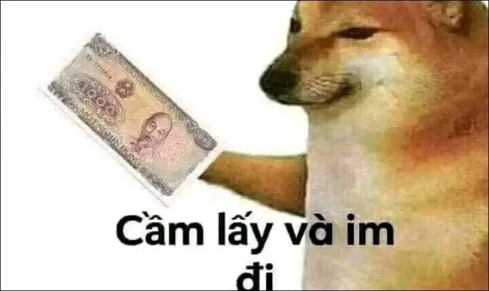 10.000+ ảnh Meme hài bựa, vô tri, cute miễn phí