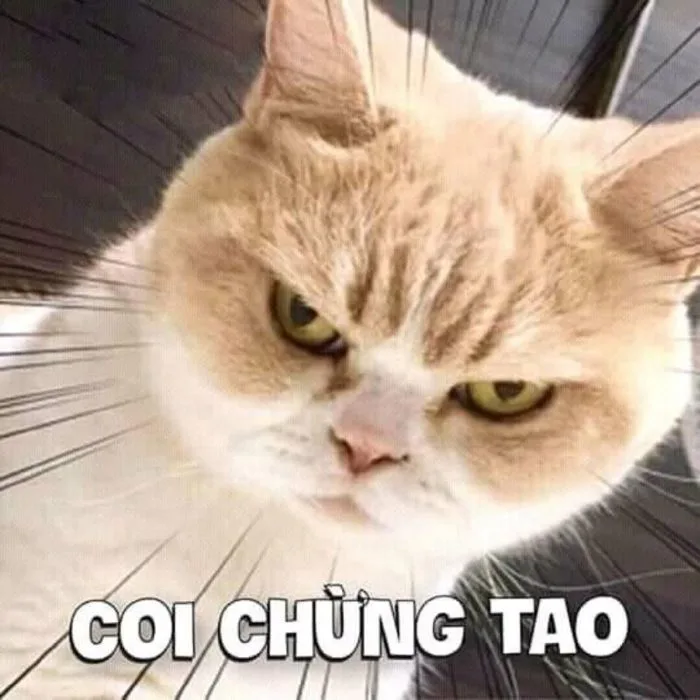 100+ hình ảnh meme hài hước, vui nhộn và hot nhất