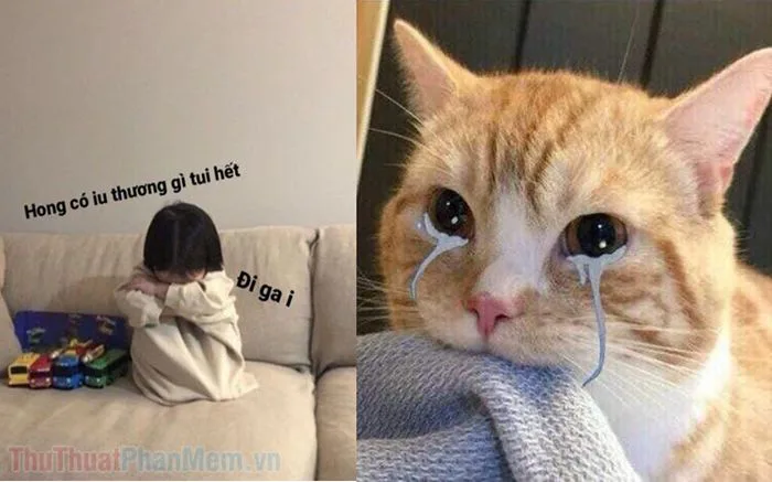 Tổng hợp bộ sưu tập Meme dỗi vui nhộn, đáng yêu