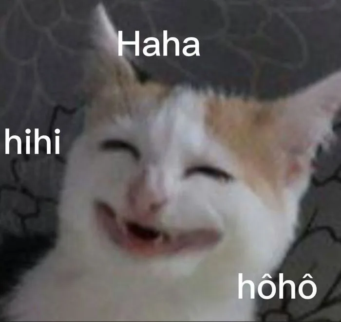 meme-hihi-1