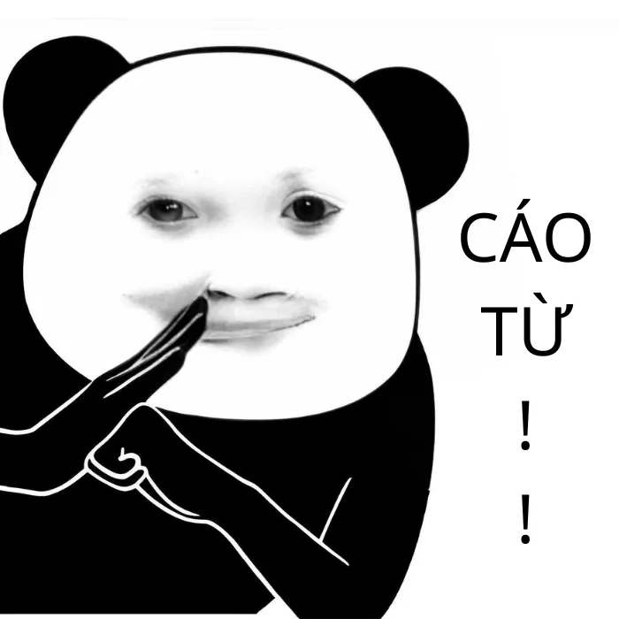 99+ Cáo Từ Meme Hài Hước Khiến Bạn Cười Không Nhặt Được Mồm