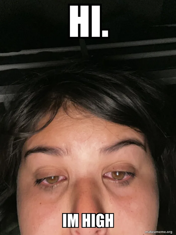 Hi. Im high Meme Generator