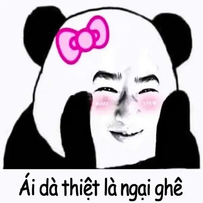 Cập nhật ảnh meme ngại hot nhất mạng xã hội hiện nay