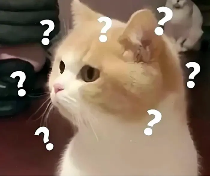 Khám phá kho meme hỏi chấm hài hước và thú vị nhất 2026