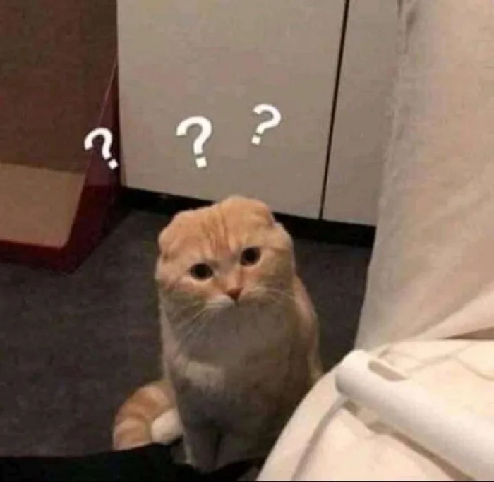 Giới thiệu các mẫu meme hỏi chấm hài hước, thú vị, khiến người xem cười té  ghế