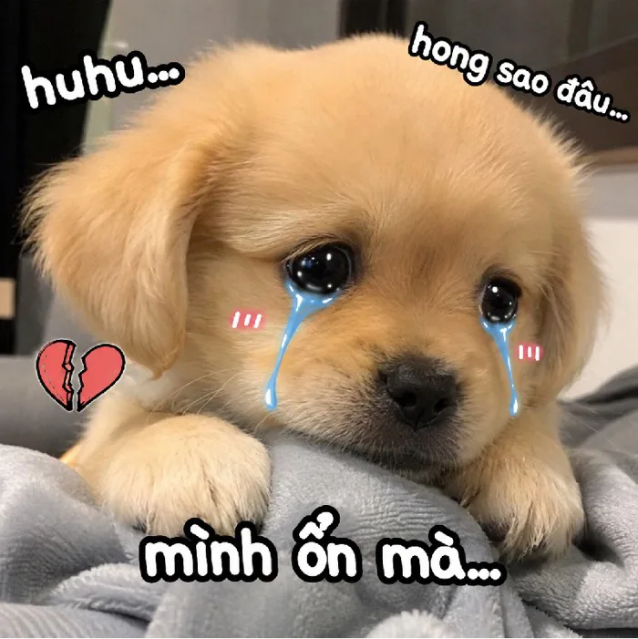 Trọn bộ 137+ meme hun cực hài hước cho cuộc hội thoại thêm ngọt ngào -  avatarcute.edu.vn