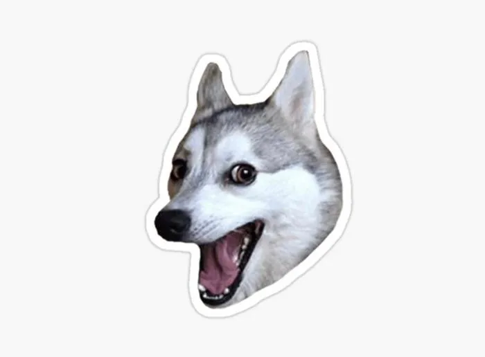 meme-husky-1