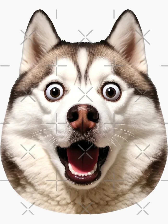 Funny Siberian Husky Meme Face Cute Dog Portrait Pet Owners Animal Lovers  Breeder Sticker