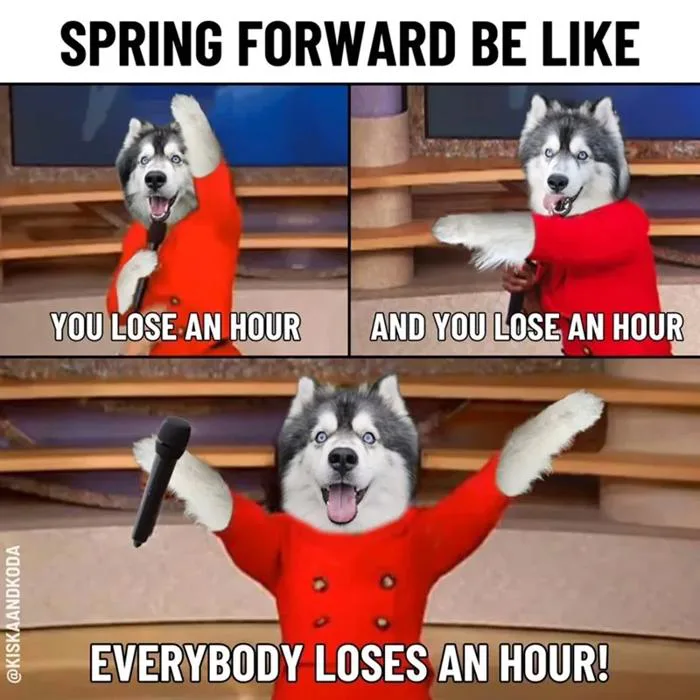 21 Heartwarming Husky Memes Full of Fluffy and Doggo Funnies