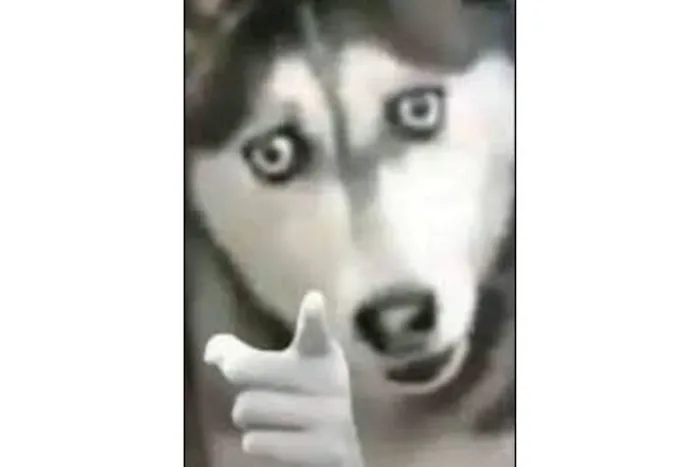 Khám phá top meme chỉ tay hài hước, cực 