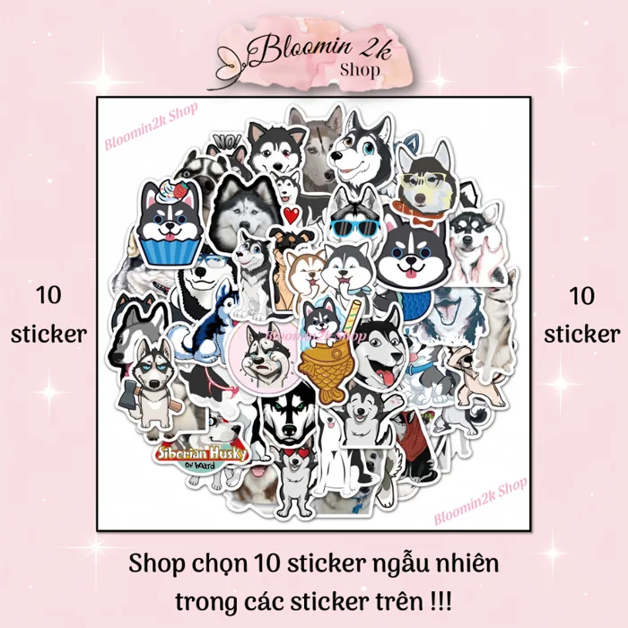 SẴN HÀNG] Set 50 Miếng Sticker Meme Chó Husky Cute Bloomin2k Chống Nước Cao  Cấp Dày Dặn Decor | Shopee Việt Nam