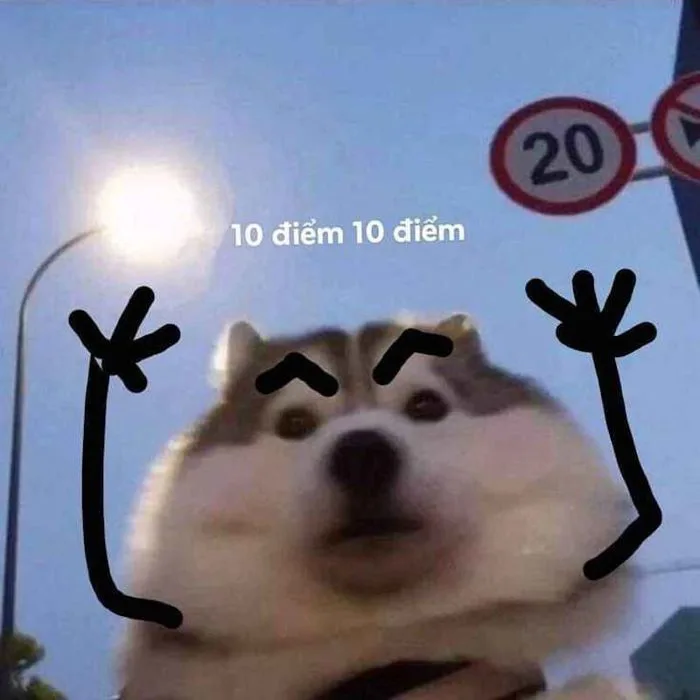 Bộ Sưu Tập Vì Bạn Xứng Đáng Meme Truyền Động Lực, Vui Nhộn 2026