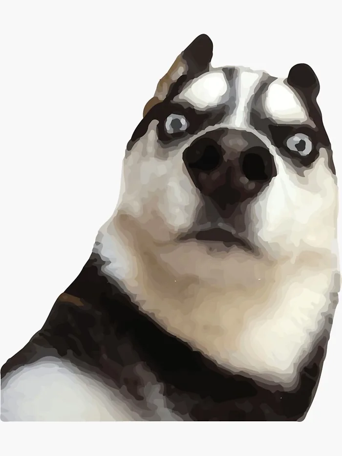 Husky Meme Sticker
