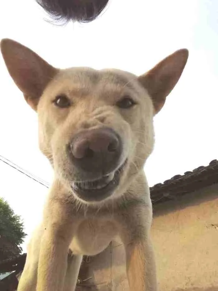 220+ Meme Khinh Bỉ Cực Gắt Dành Cho Những Pha Cạn Lời - Thưởng Thức Âm Nhạc  Hello - Trung Tâm Hello
