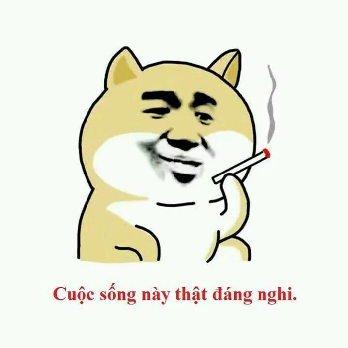 Những bức ảnh khinh người đầy vui vẻ và hài hước