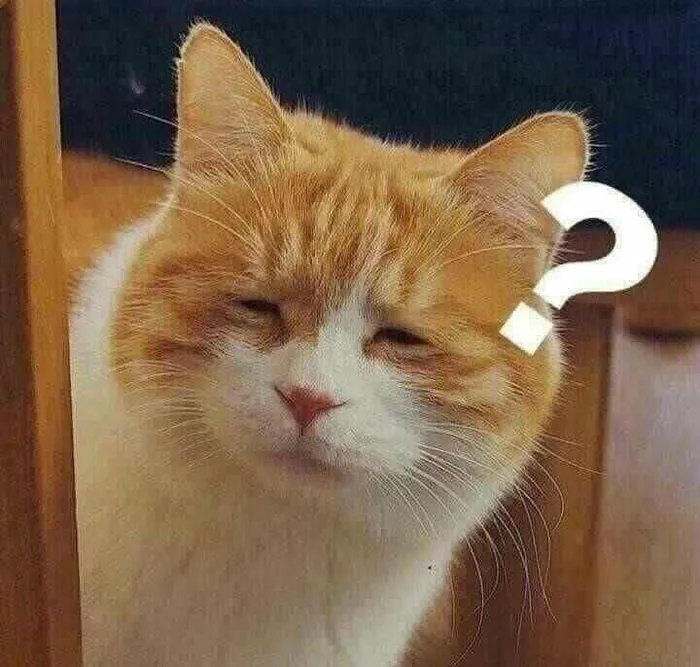 Bộ sưu tập ảnh meme siêu hài, khó đoán