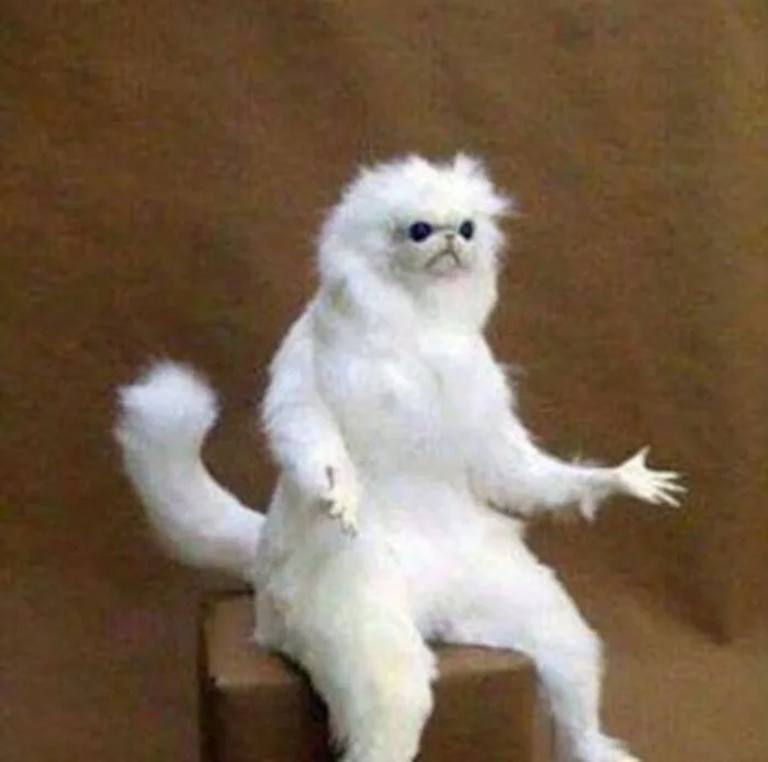 Tổng hợp những meme hài hước khó hiểu, mang đến tiếng cười sảng khoái