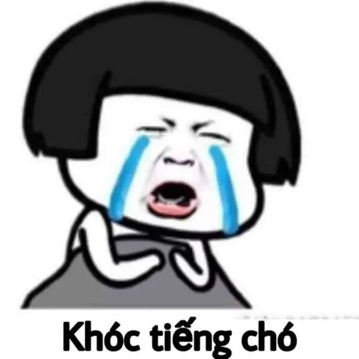 Tuyển tập 99+ ảnh khóc meme hài hước cười ra nước mắt | Yody