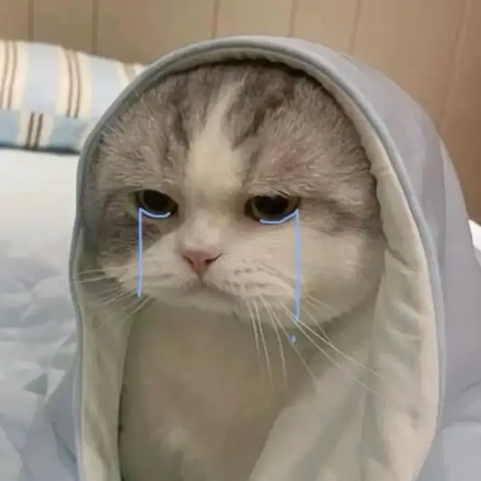 3.281+ Ảnh Meme Khóc Buồn Khóc Cười Hài Hước Slay Cực Yêu