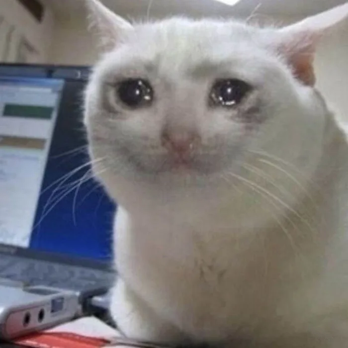 Các mẫu meme mèo khóc viral nhất cõi mạng và điều thú vị phía sau