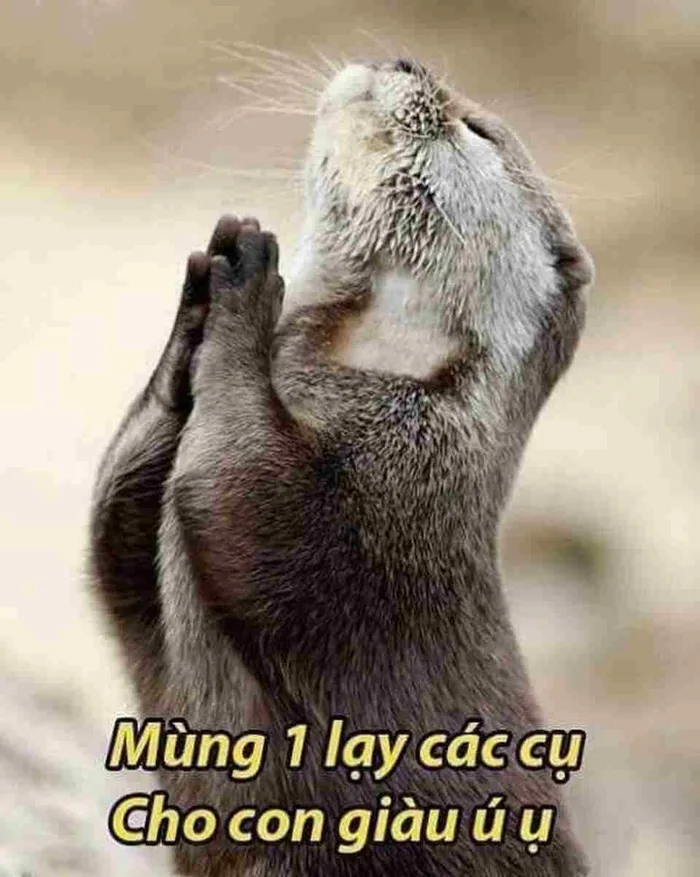 Cười thả ga với loạt meme lạy siêu hài hước về các tình huống “dở khóc dở  cười” trong cuộc sống