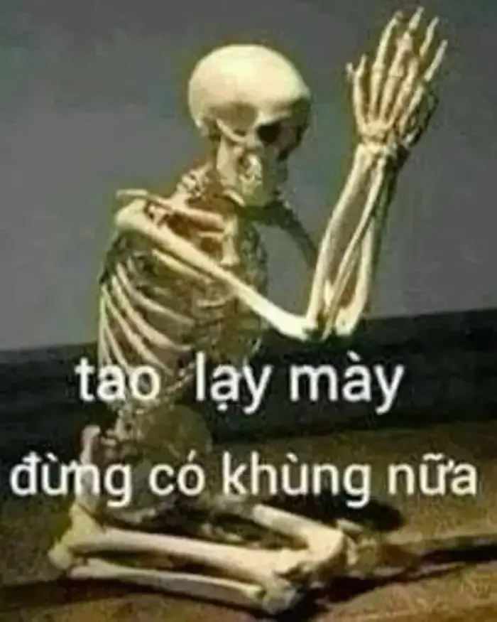 136+ Meme Lạy Quỳ Lạy Mày ảnh chế siêu hài bựa lầy