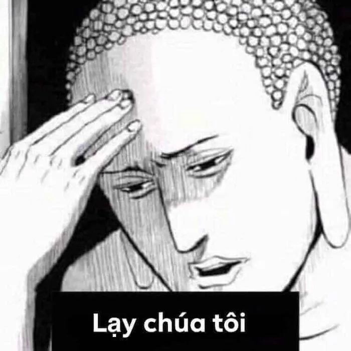Bộ sưu tập meme lạy hài hước độc đáo và sáng tạo
