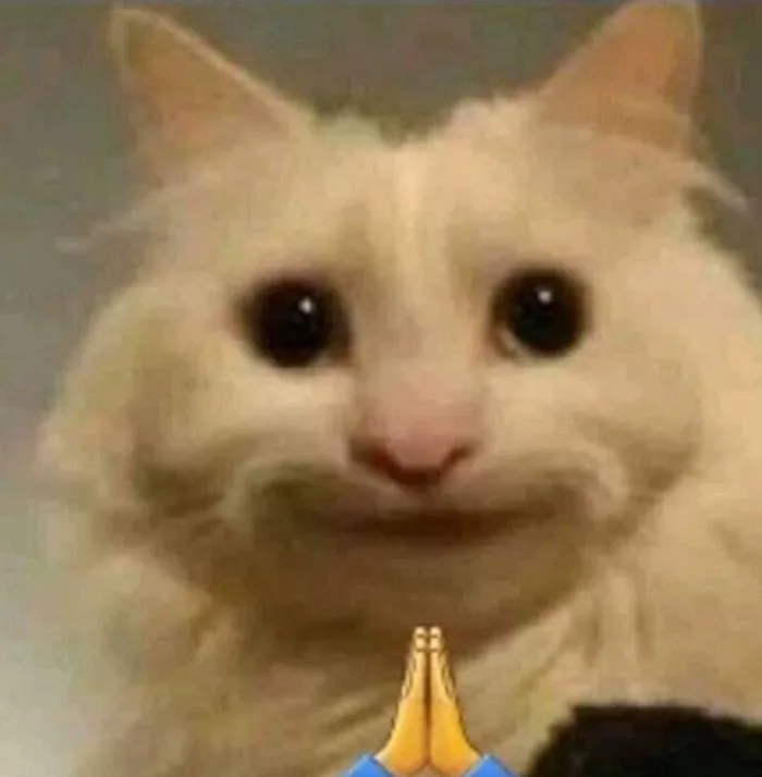 Tổng Hợp 99+ Meme Lạy, Quỳ Lạy Siêu Hài Hước Cho Dân Mạng