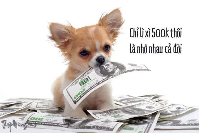 Tổng hợp meme lì xì, ảnh chế lì xì Tết cực hài hước