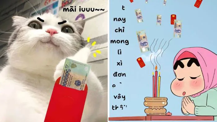 Bộ sưu tập 50+ ảnh meme lì xì Tết hài hước, bá đạo, dễ thương 2026