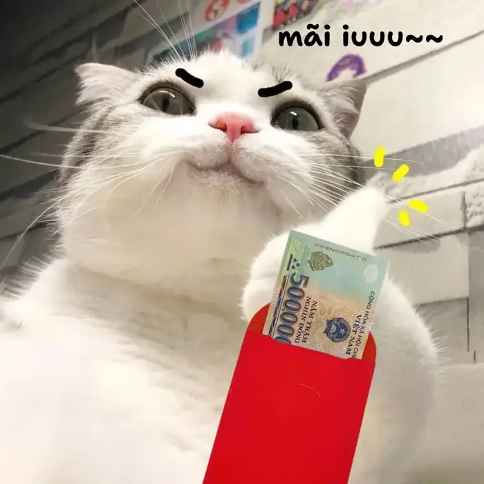 TOP Meme lì xì mới nhất Tết 2026: Hài hước, đòi lì xì, dễ thương | ZaloPay