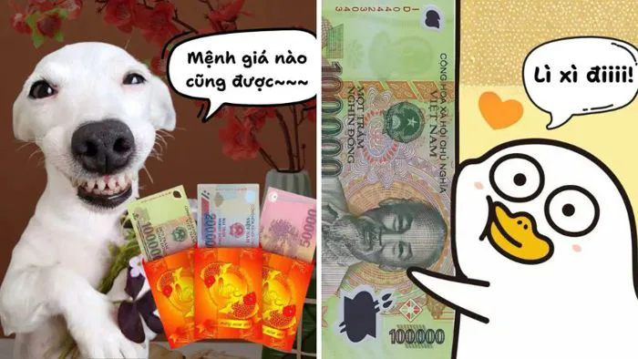 Bộ sưu tập 50+ ảnh meme lì xì Tết hài hước, bá đạo, dễ thương 2026