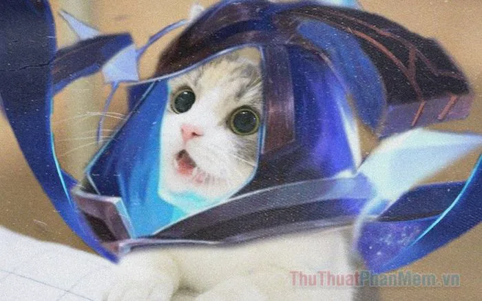 Hilarious Liên Quân Cat Meme