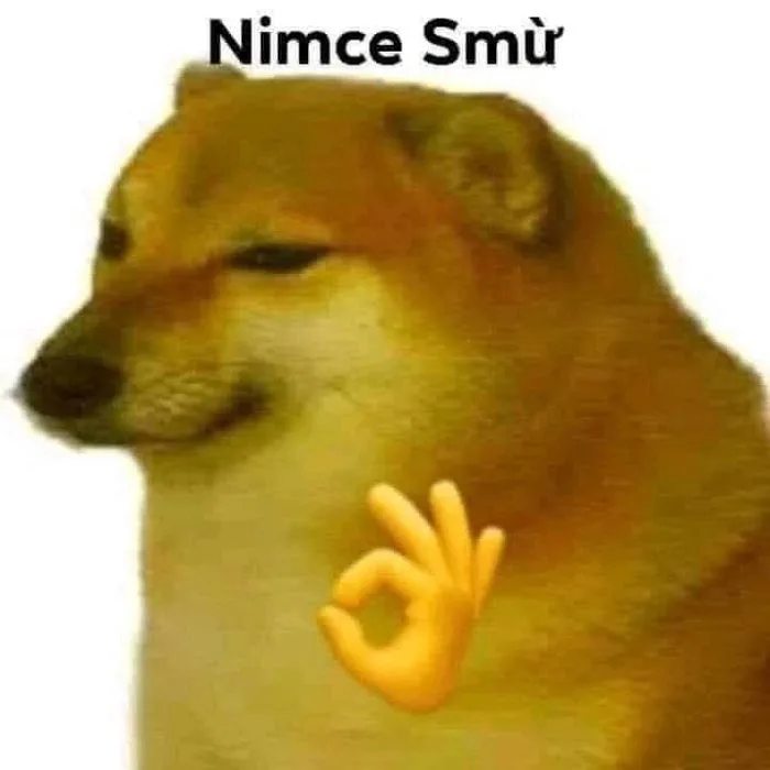 Tổng hợp 100+ meme cheems hài hước, thú vị - Ảnh đẹp Free
