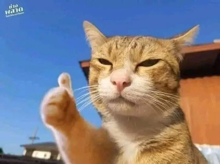 👍