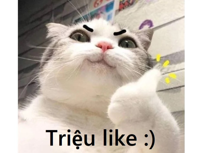Giải thích “meme” là gì trong ngôn ngữ gen Z