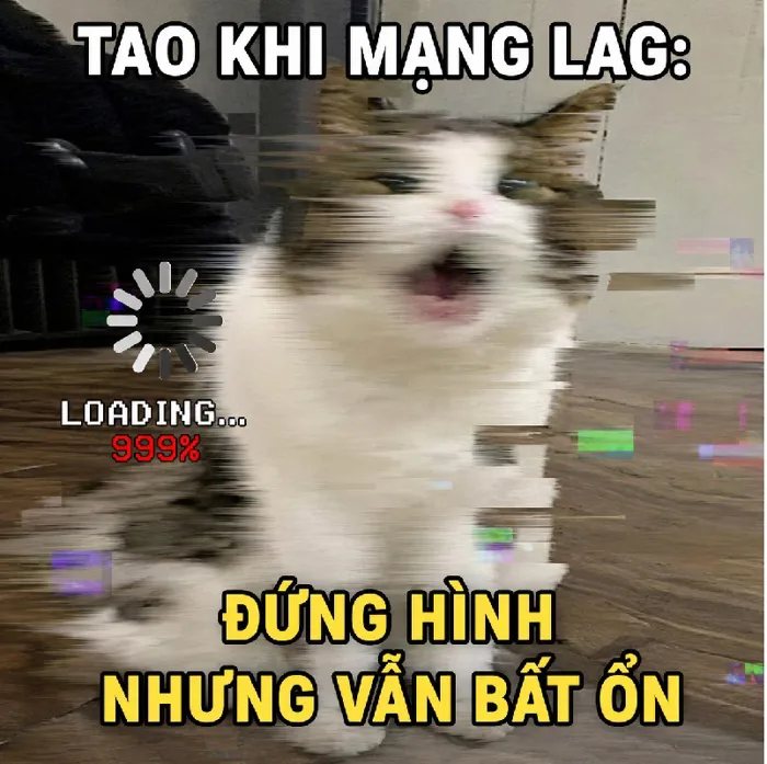 146+ Meme Mèo Lag, Loading bá đạo dân mạng cười bể bụng