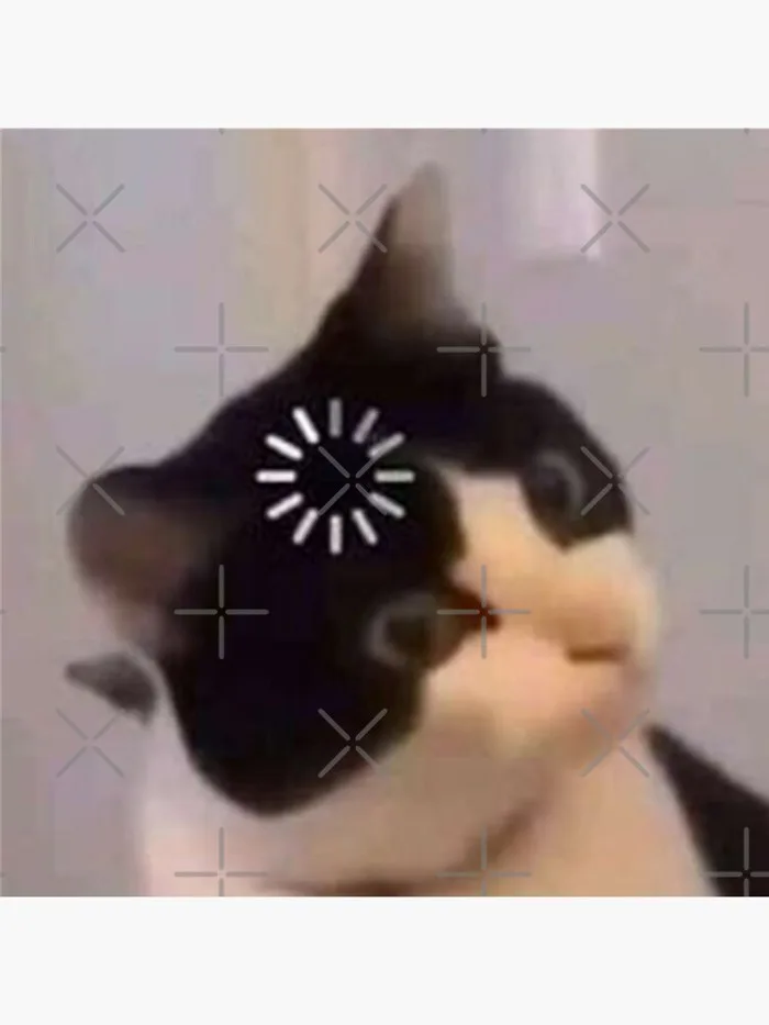 Loading cat