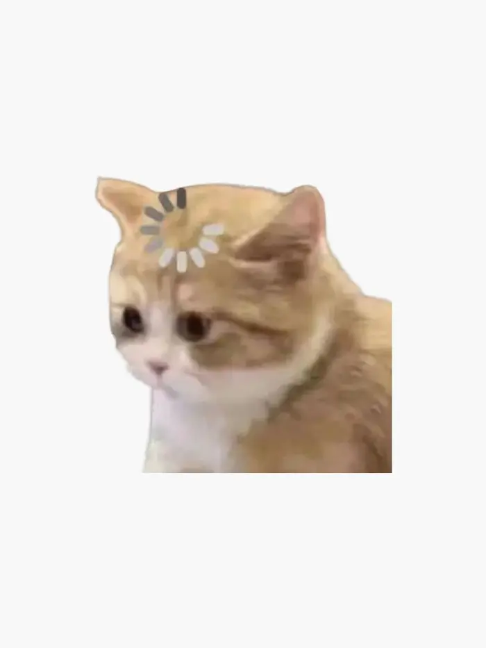 confused loading cat meme