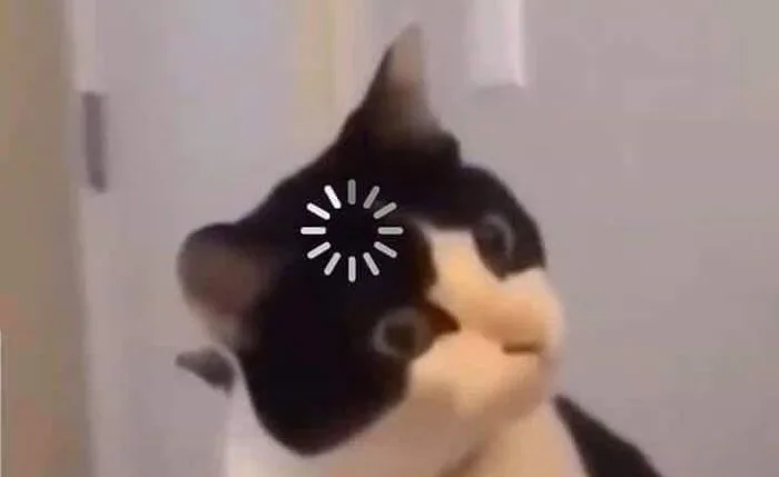 Loading cat meme