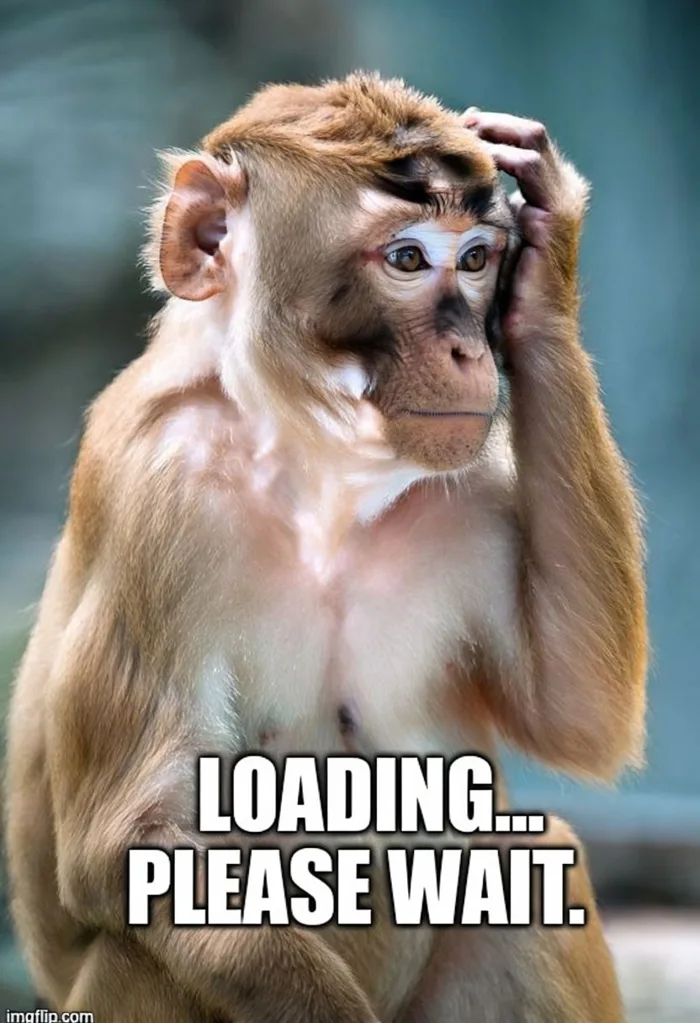 Confused Monkey Meme with Funny Loading Text Overlay Sticker - Playground