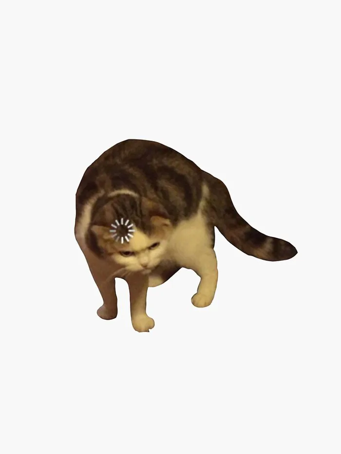 Loading cat meme