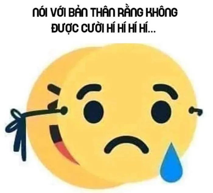 Meme Cười Đểu, Cười Khóc, Cười Nhếch Mép [Cười Nhe Răng]