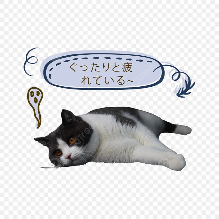 Hình ảnh Chú Mèo Mệt Mỏi Dễ Thương PNG , Clipart Mèo, Mệt Mỏi, Con Mèo PNG  miễn phí tải tập tin PSDComment và Vector
