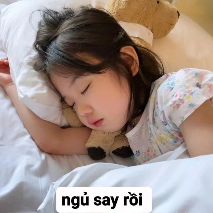100.000+ Hình Ảnh Mệt Mỏi Đáng Yêu 🥱🍵🤗, Hài Hước, Cute, Ngủ Sập Nguồn